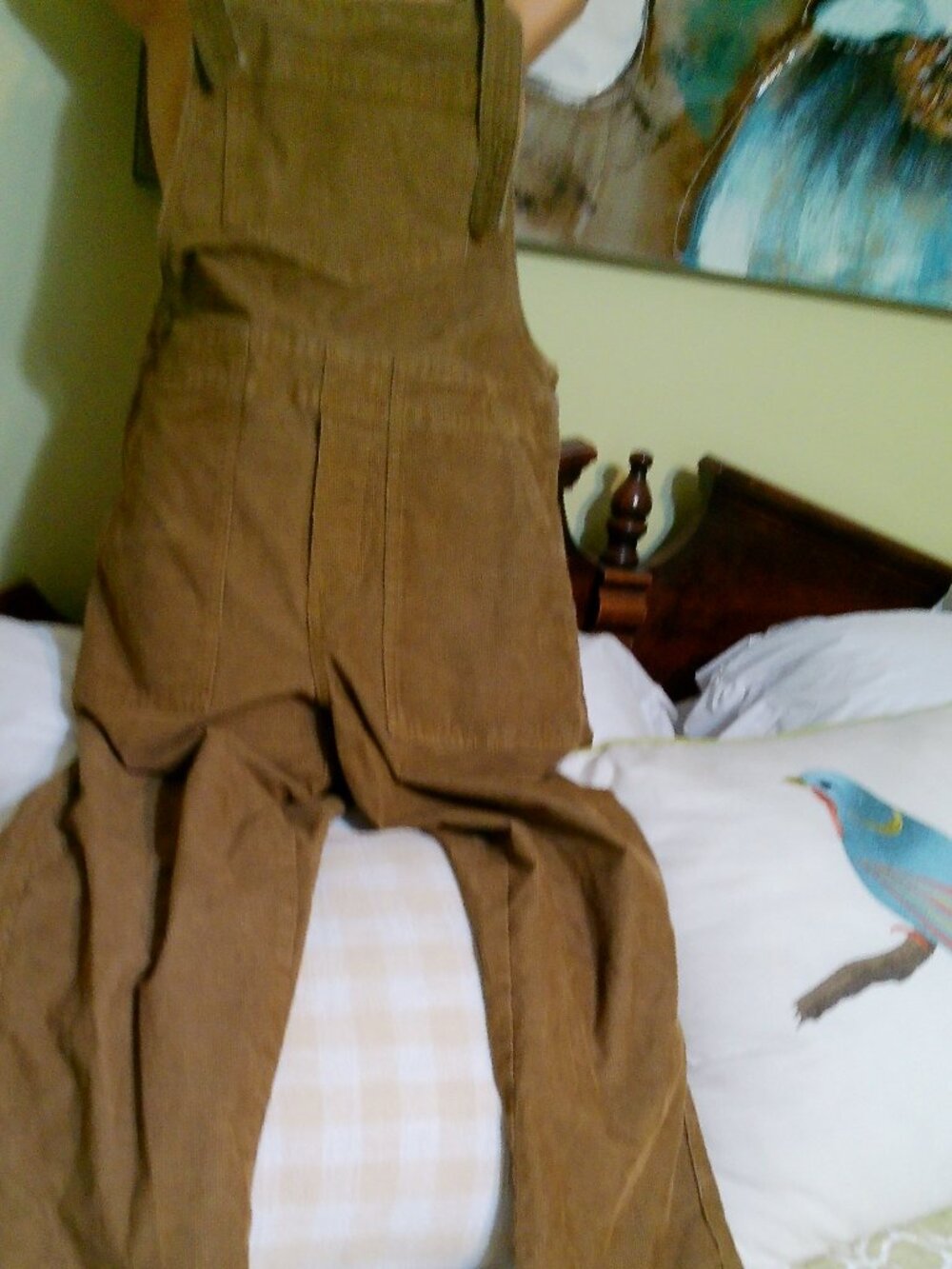 BROWN CORDUROY OVERALLS AERIE GREAT CONDITION SIZE XS